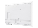 SAMSUNG FLIP 4 - 55 pouces